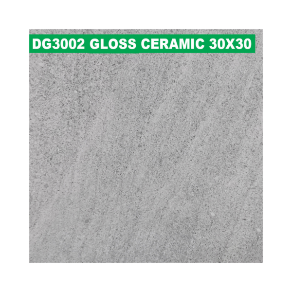 30 × 30 cm (Gloss Finish)