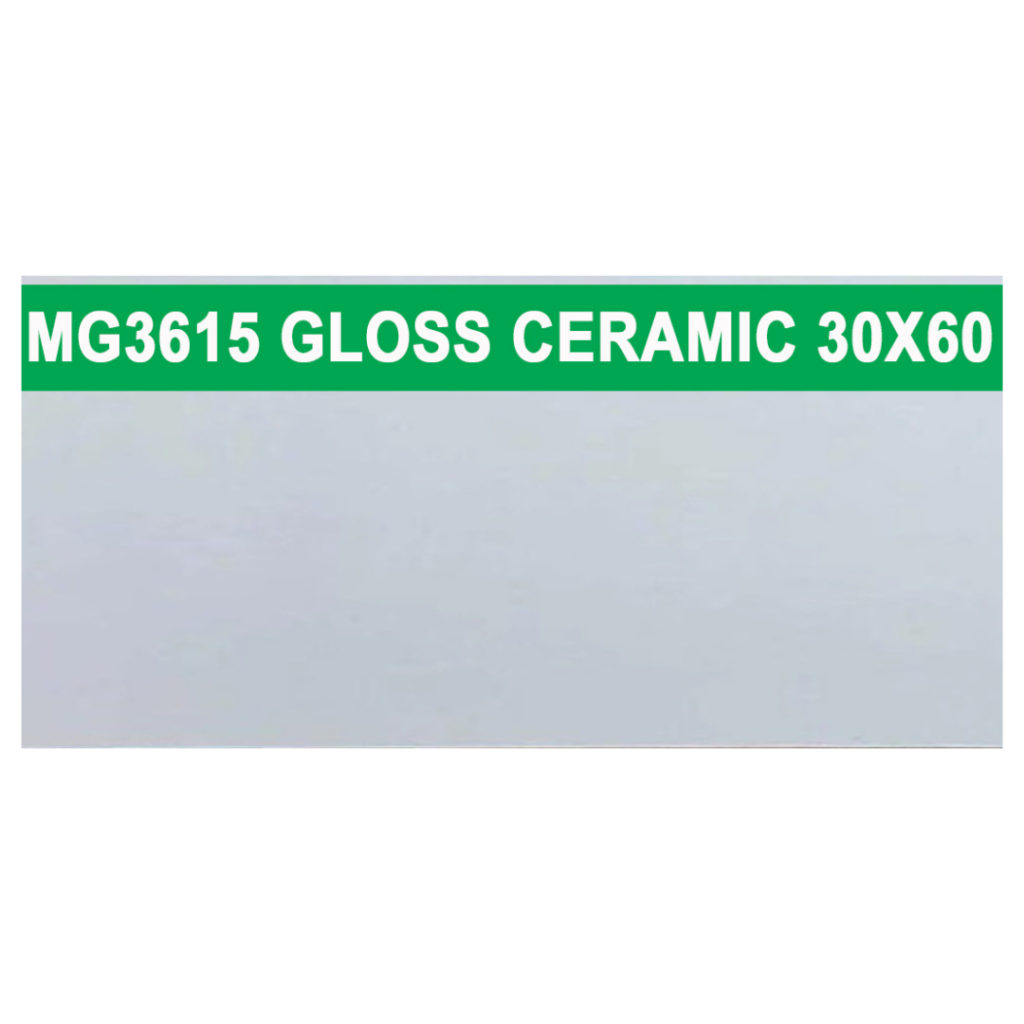 30 × 60 cm (Gloss Finish)