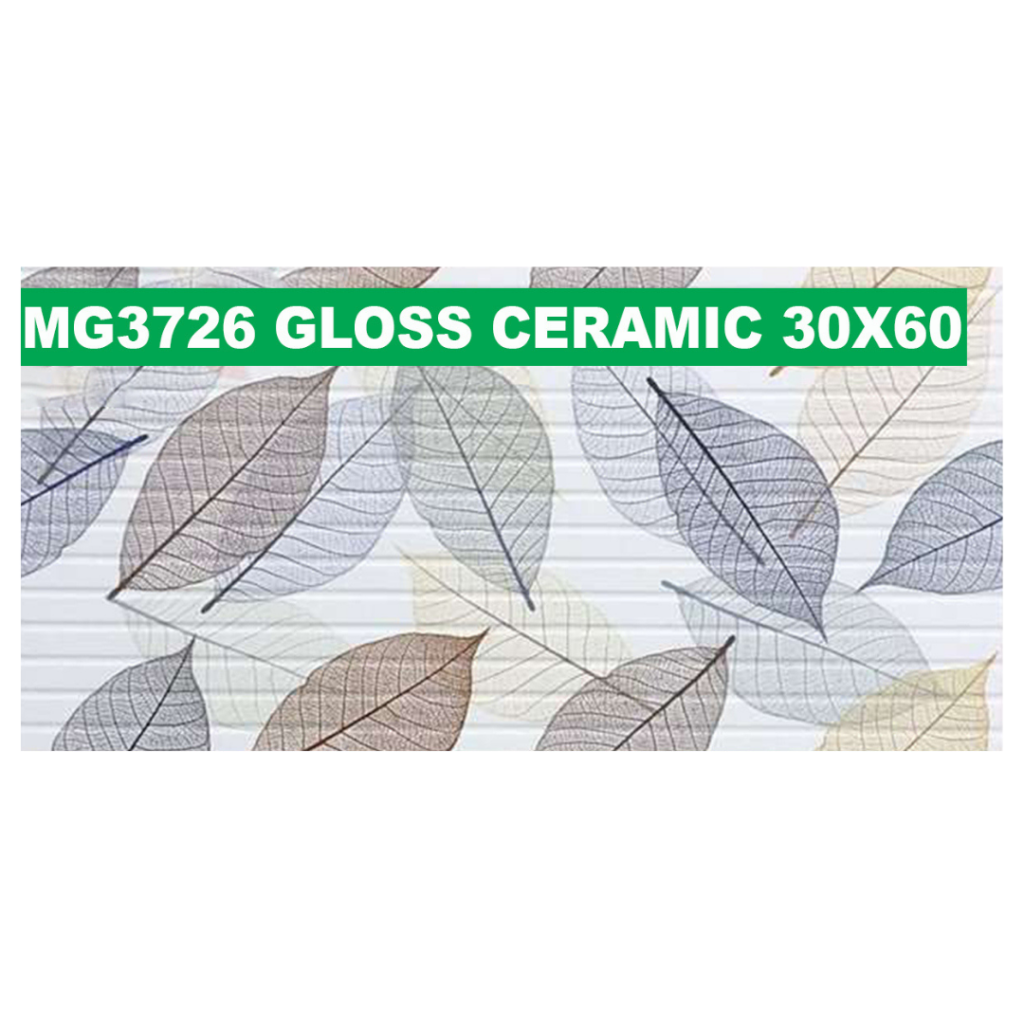 30 × 60 cm (Gloss Finish)