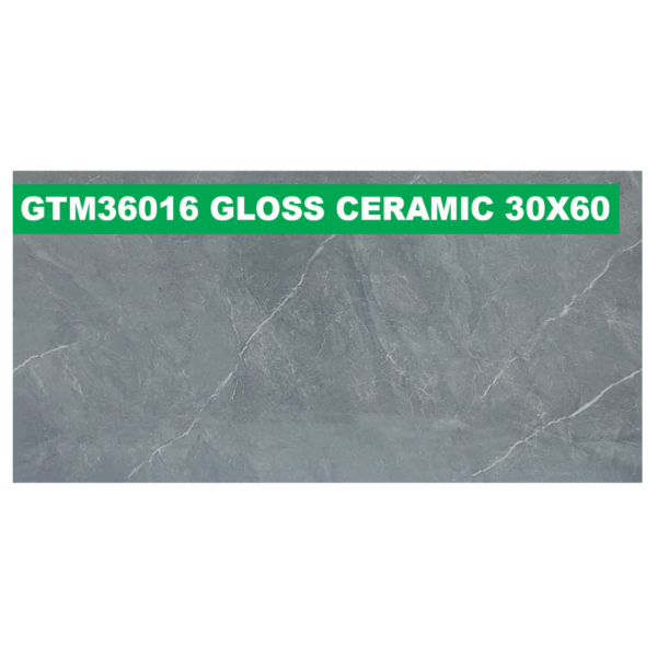 30 × 60 cm (Gloss Finish)