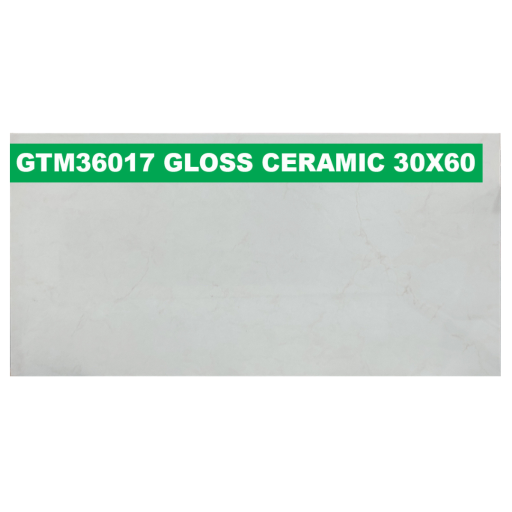 30 × 60 cm (Gloss Finish)