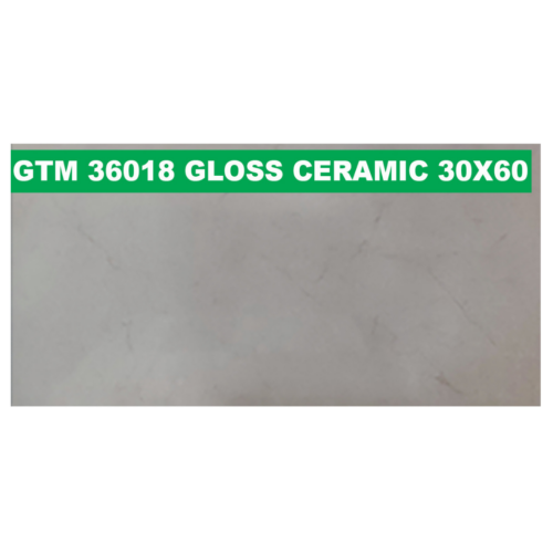 30 × 60 cm (Gloss Finish)