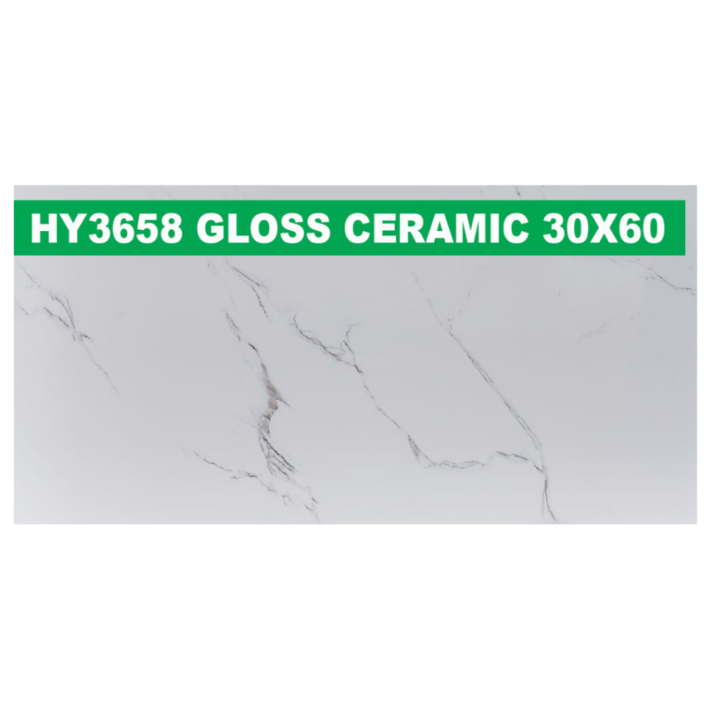 30 × 60 cm (Gloss Finish)