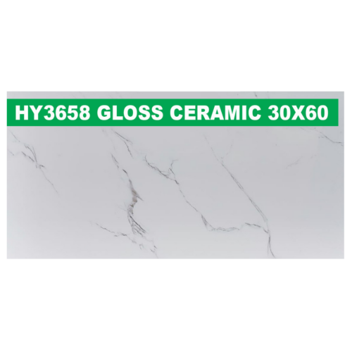 30 × 60 cm (Gloss Finish)