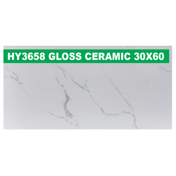 30 × 60 cm (Gloss Finish)
