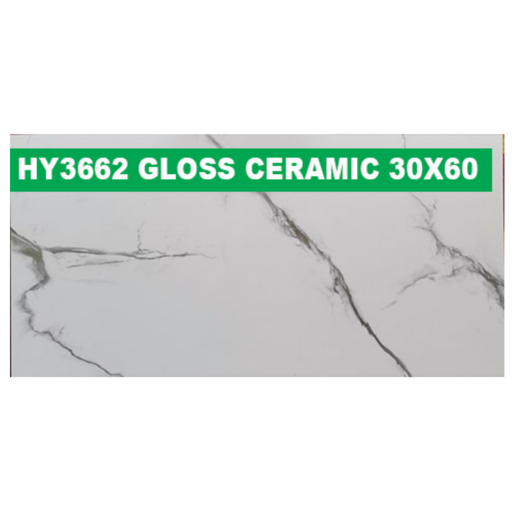 30 × 60 cm (Gloss Finish)