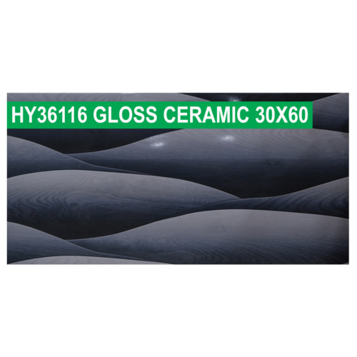 30 × 60 cm (Gloss Finish)