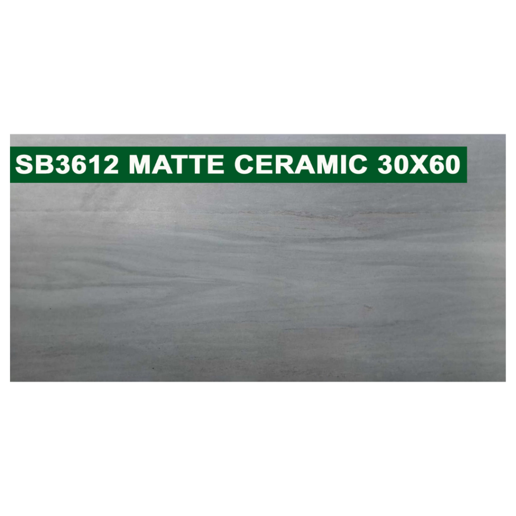 30 × 60 cm (Matte Finish)