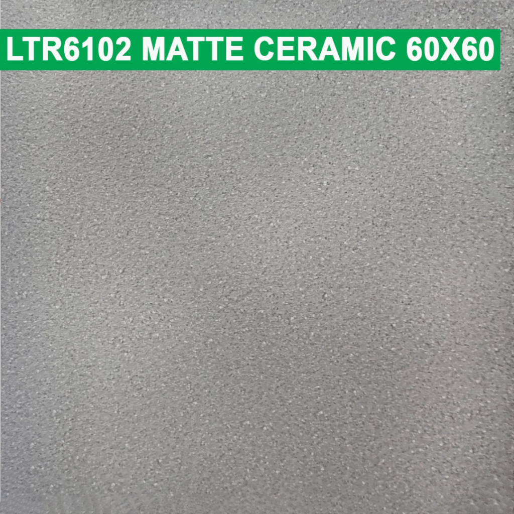 60×60 cm (Matte Finish)