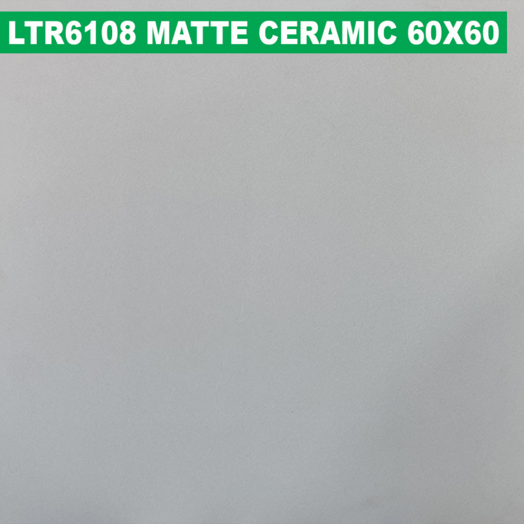 60×60 cm (Matte Finish)