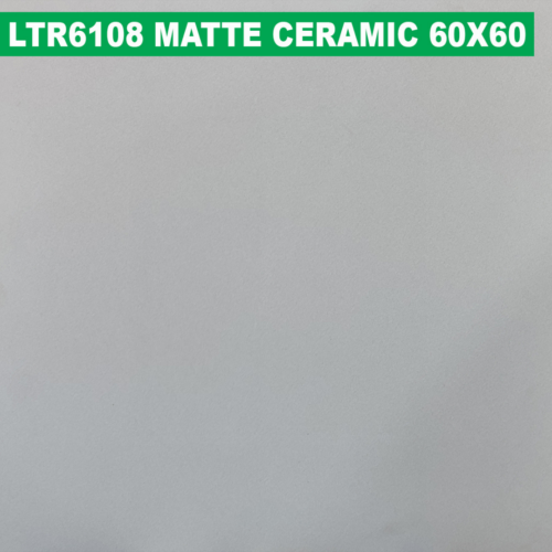 60×60 cm (Matte Finish)