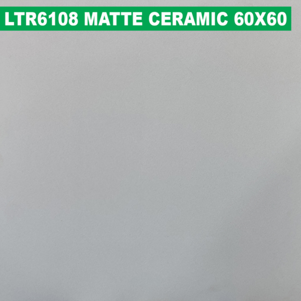 60×60 cm (Matte Finish)