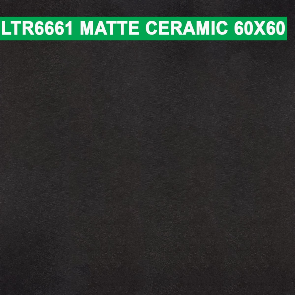 60×60 cm (Matte Finish)