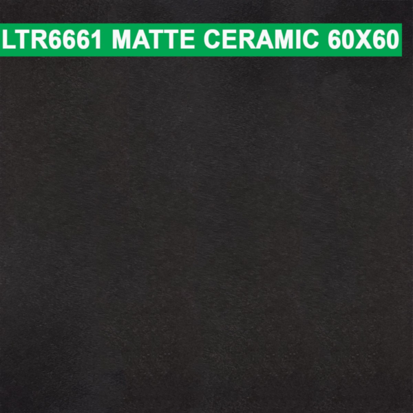 60×60 cm (Matte Finish)