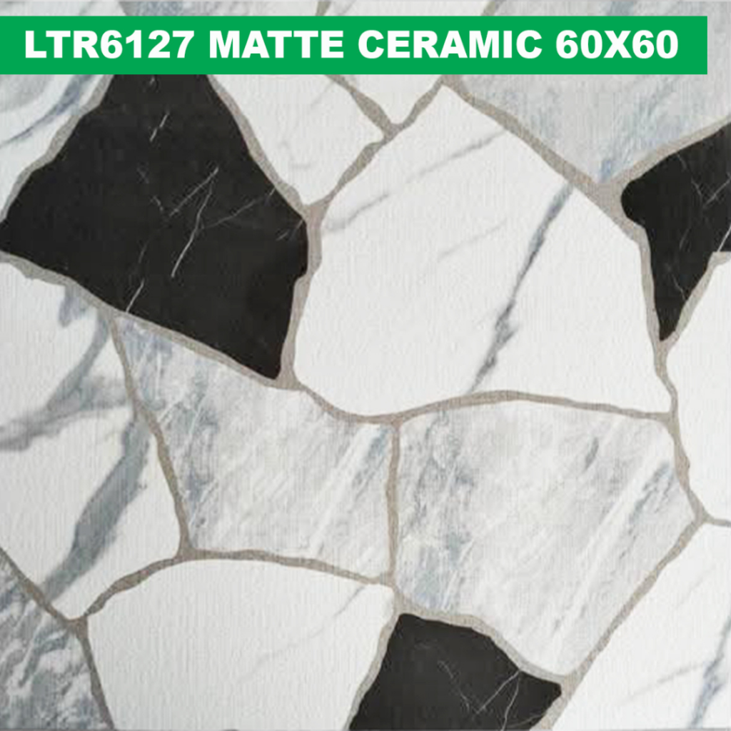 60×60 cm (Matte Finish)