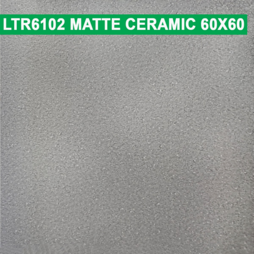 60×60 cm (Matte Finish)
