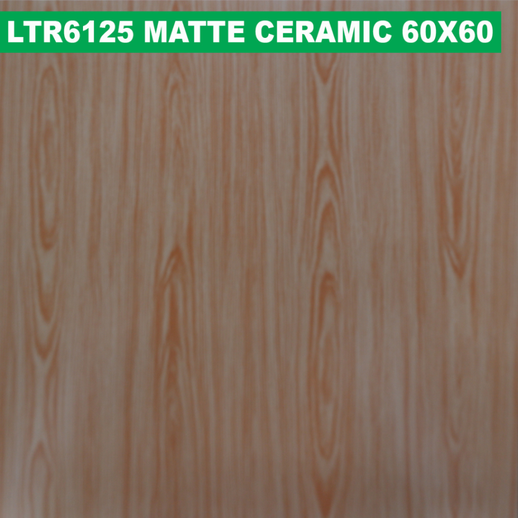 60×60 cm (Matte Finish)