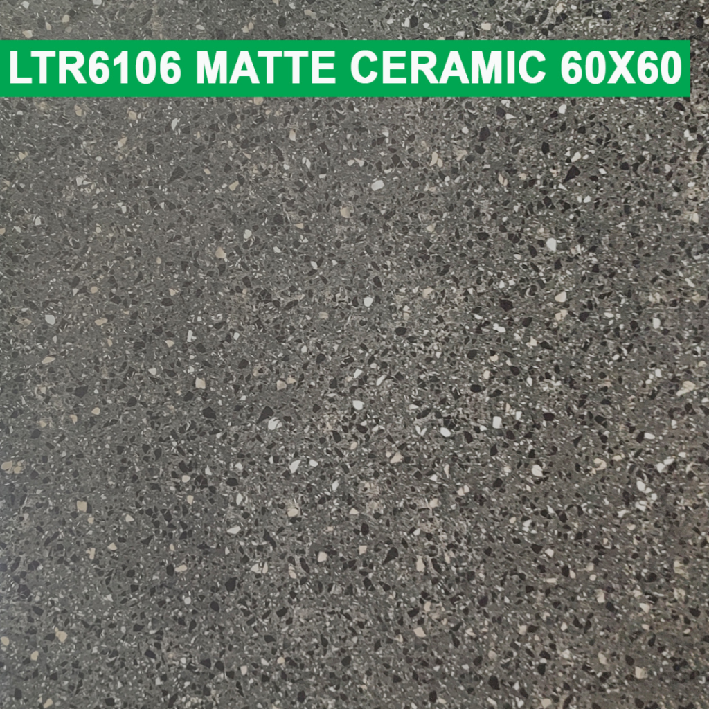 60×60 cm (Matte Finish)