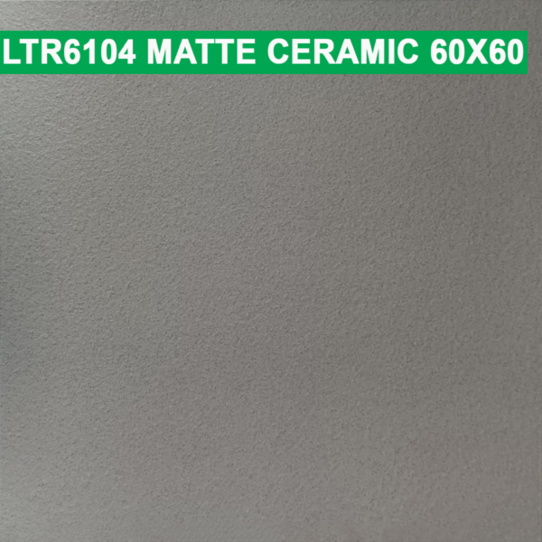 60×60 cm (Matte Finish)