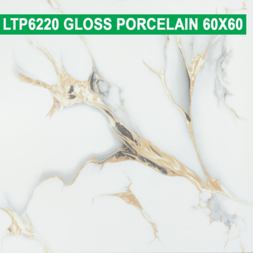 60×60 cm (Gloss Finish)