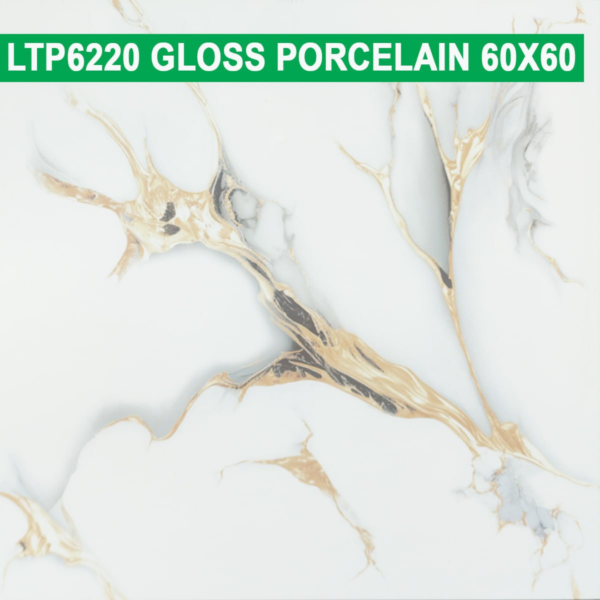 60×60 cm (Gloss Finish)