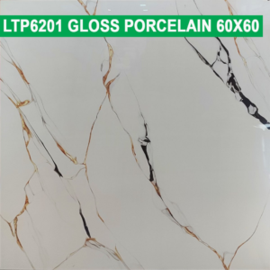 60×60 cm (Gloss Finish)