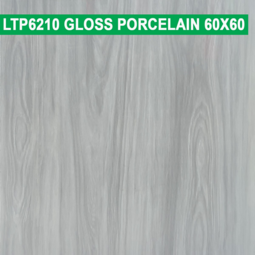 60×60 cm (Gloss Finish)