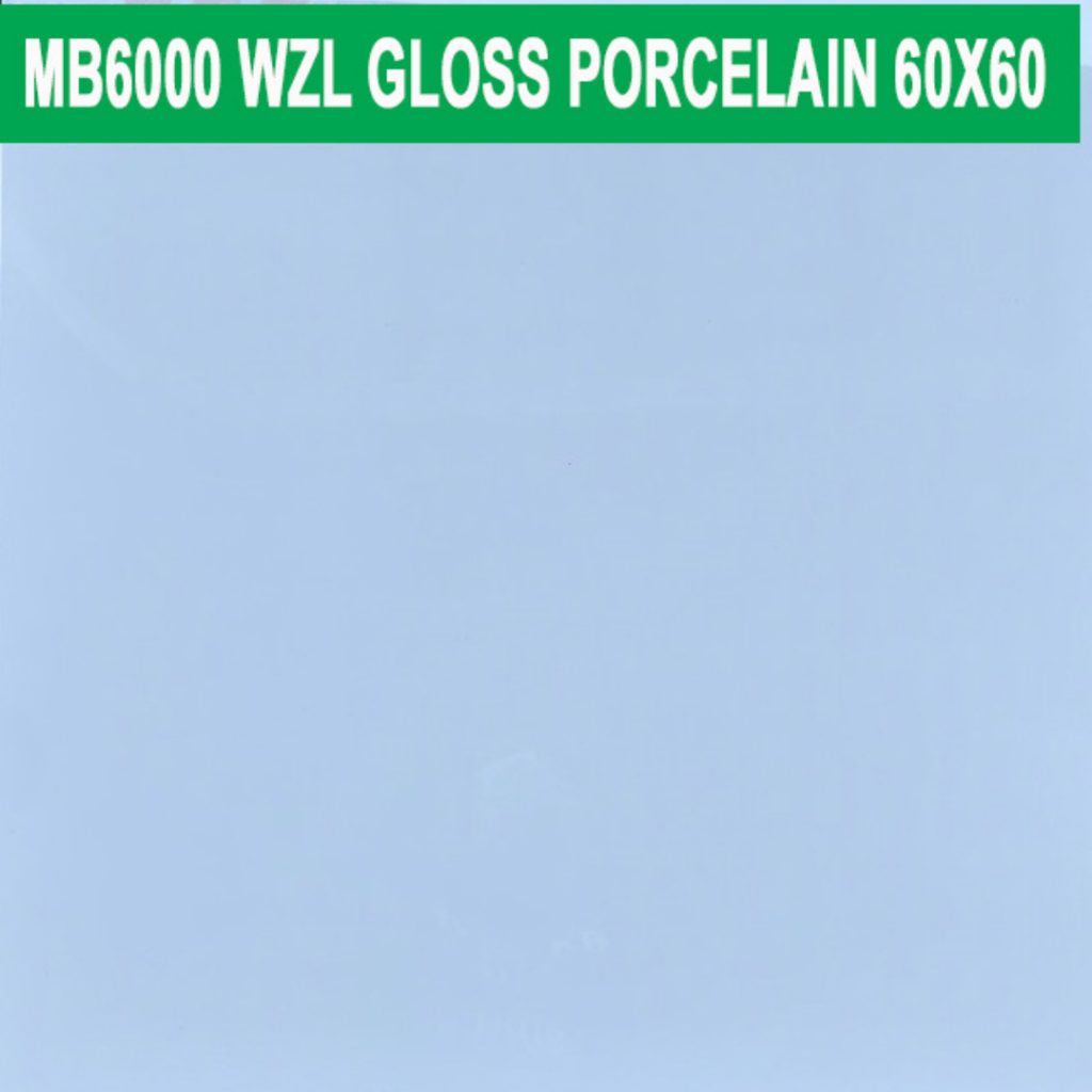 60×60 cm (Gloss Finish)