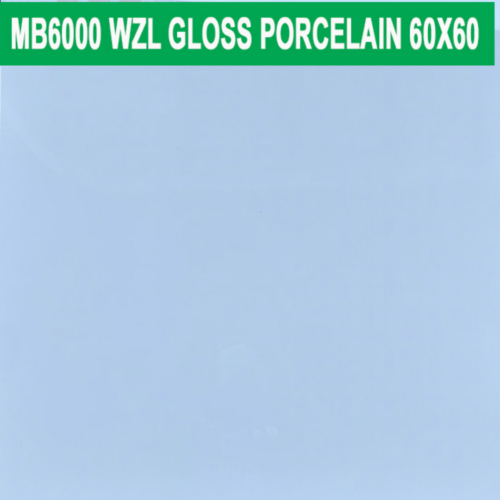 60×60 cm (Gloss Finish)