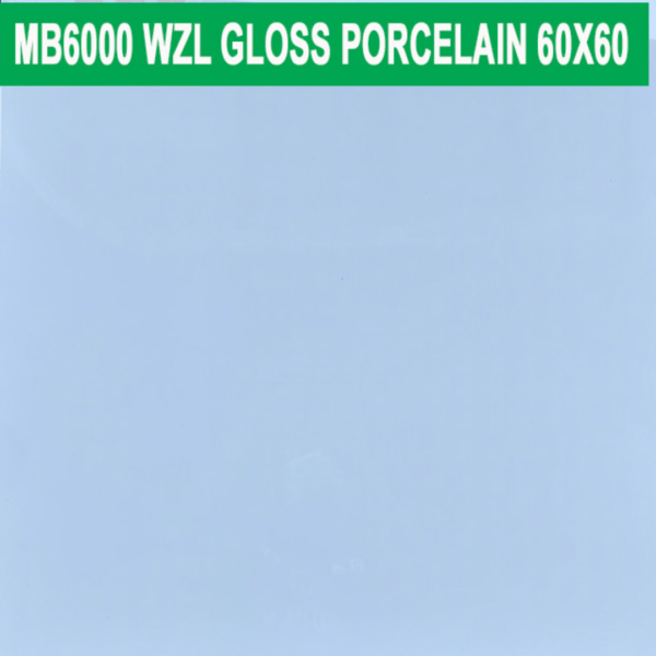60×60 cm (Gloss Finish)