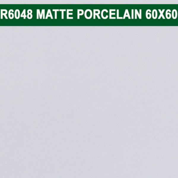 60×60 cm (Matte Finish)
