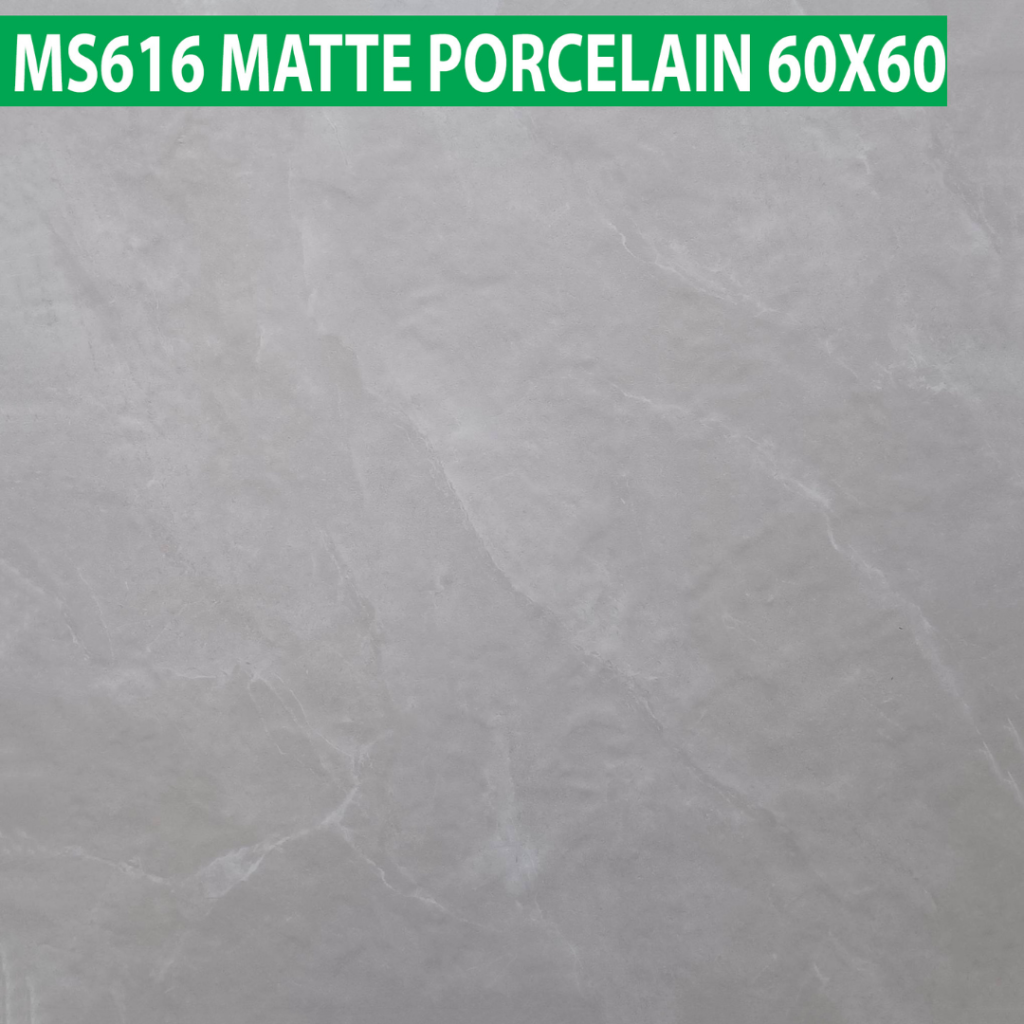 60×60 cm (Matte Finish)