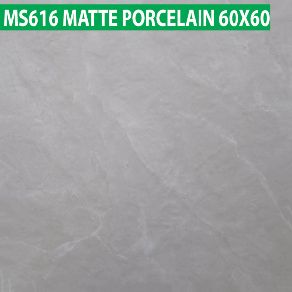 60×60 cm (Matte Finish)