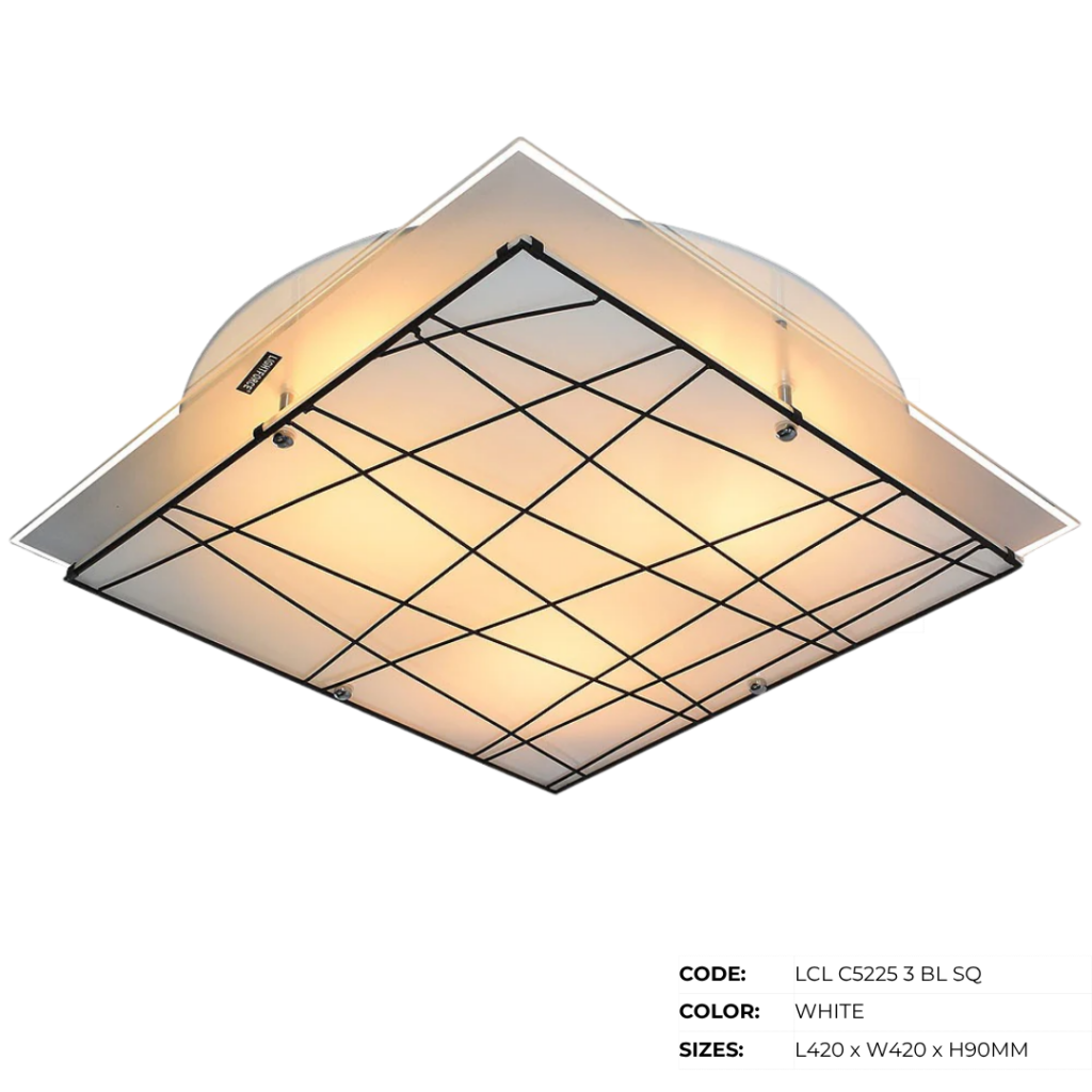 ZLC Low Ceiling Lamps