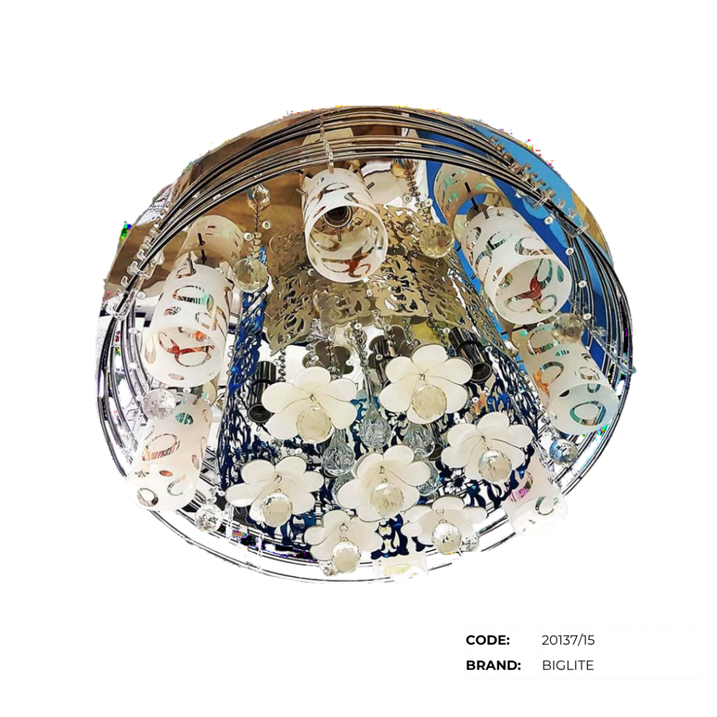 BIGLITE Low Ceiling Lights