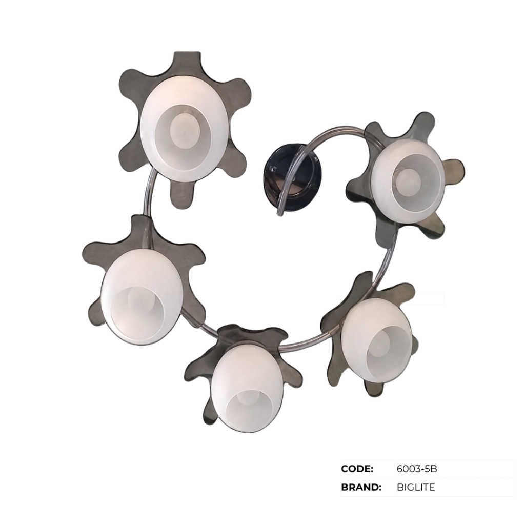 BIGLITE Low Ceiling Lights