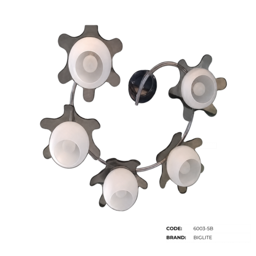 BIGLITE Low Ceiling Lights