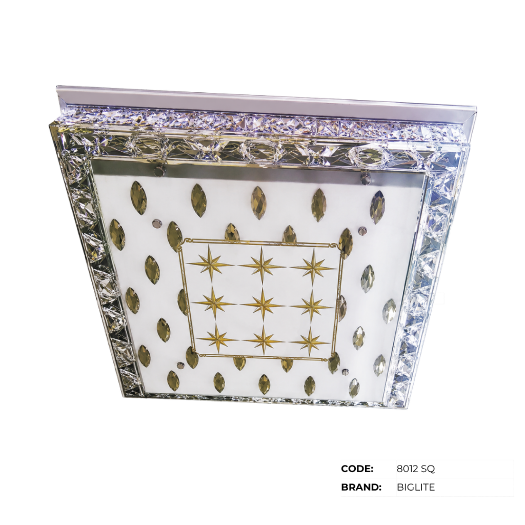BIGLITE Low Ceiling Lights