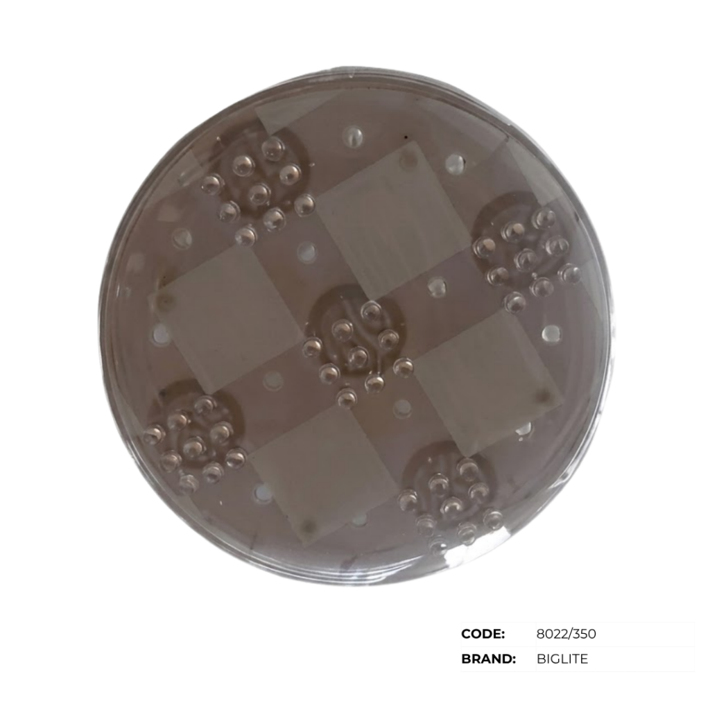 BIGLITE Low Ceiling Lights