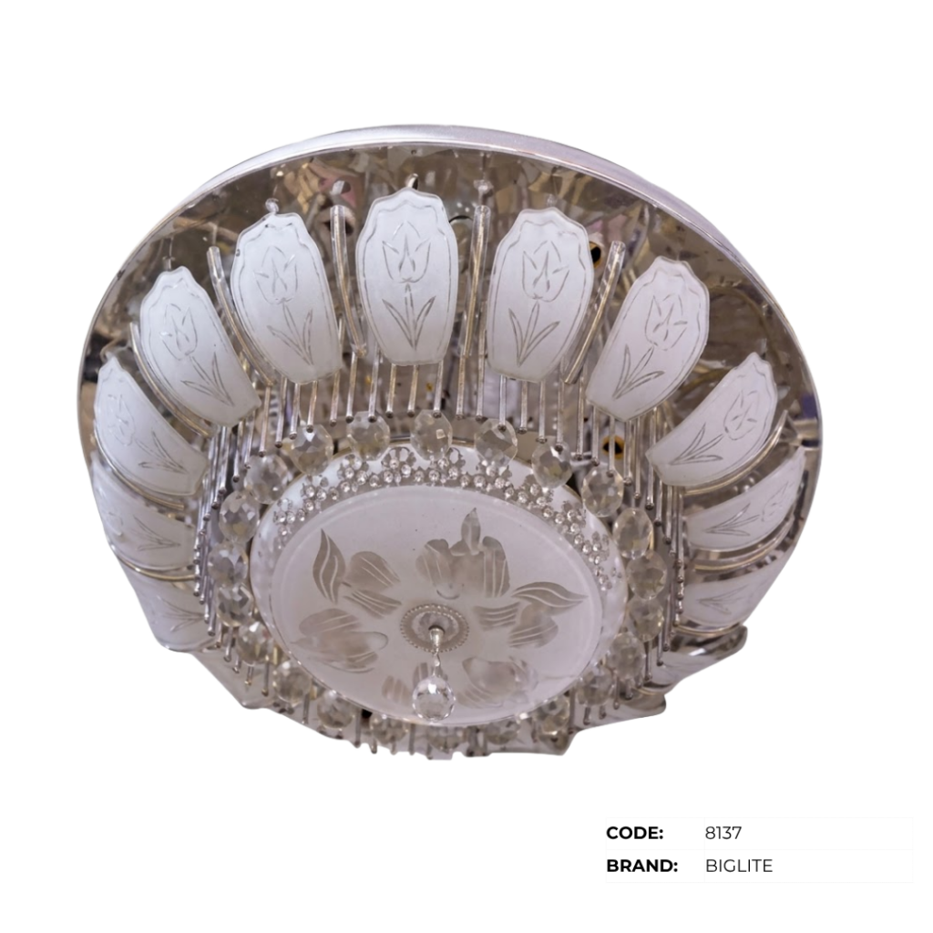 BIGLITE Low Ceiling Lights
