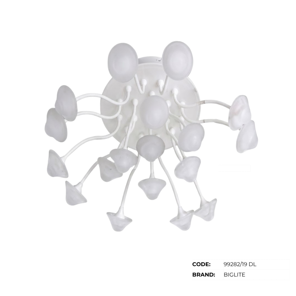 BIGLITE Low Ceiling Lights