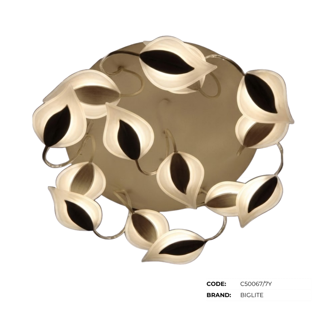 BIGLITE Low Ceiling Lights