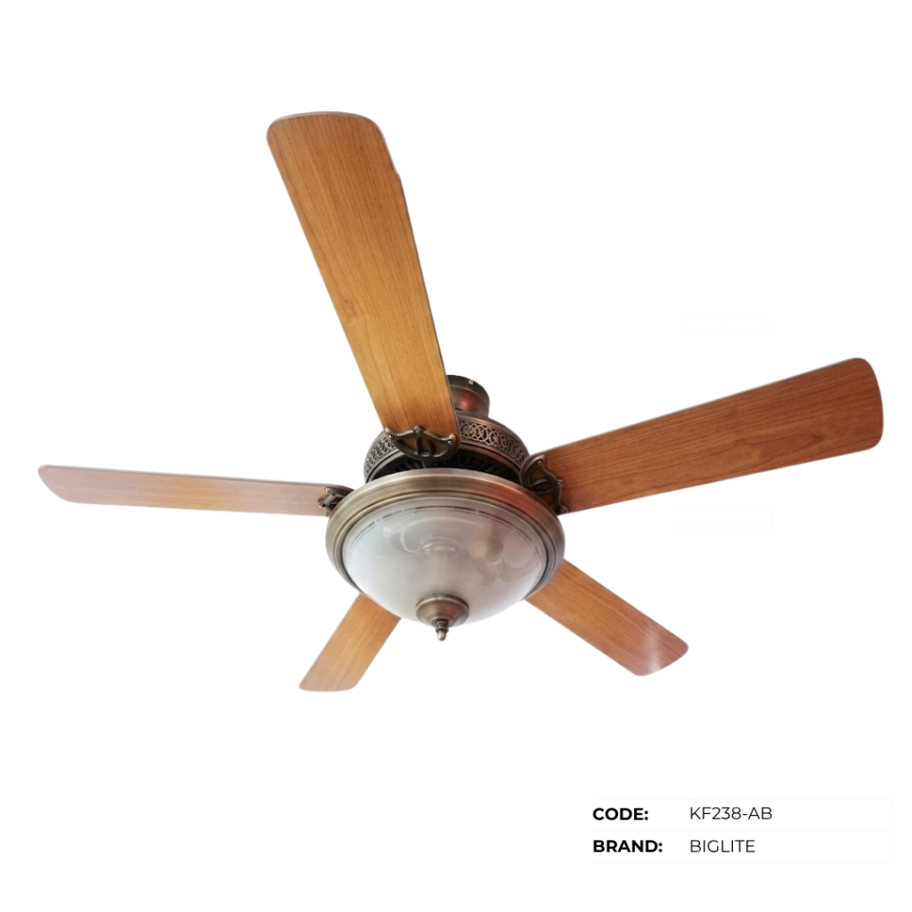 BIGLITE Ceiling Fans with Lights