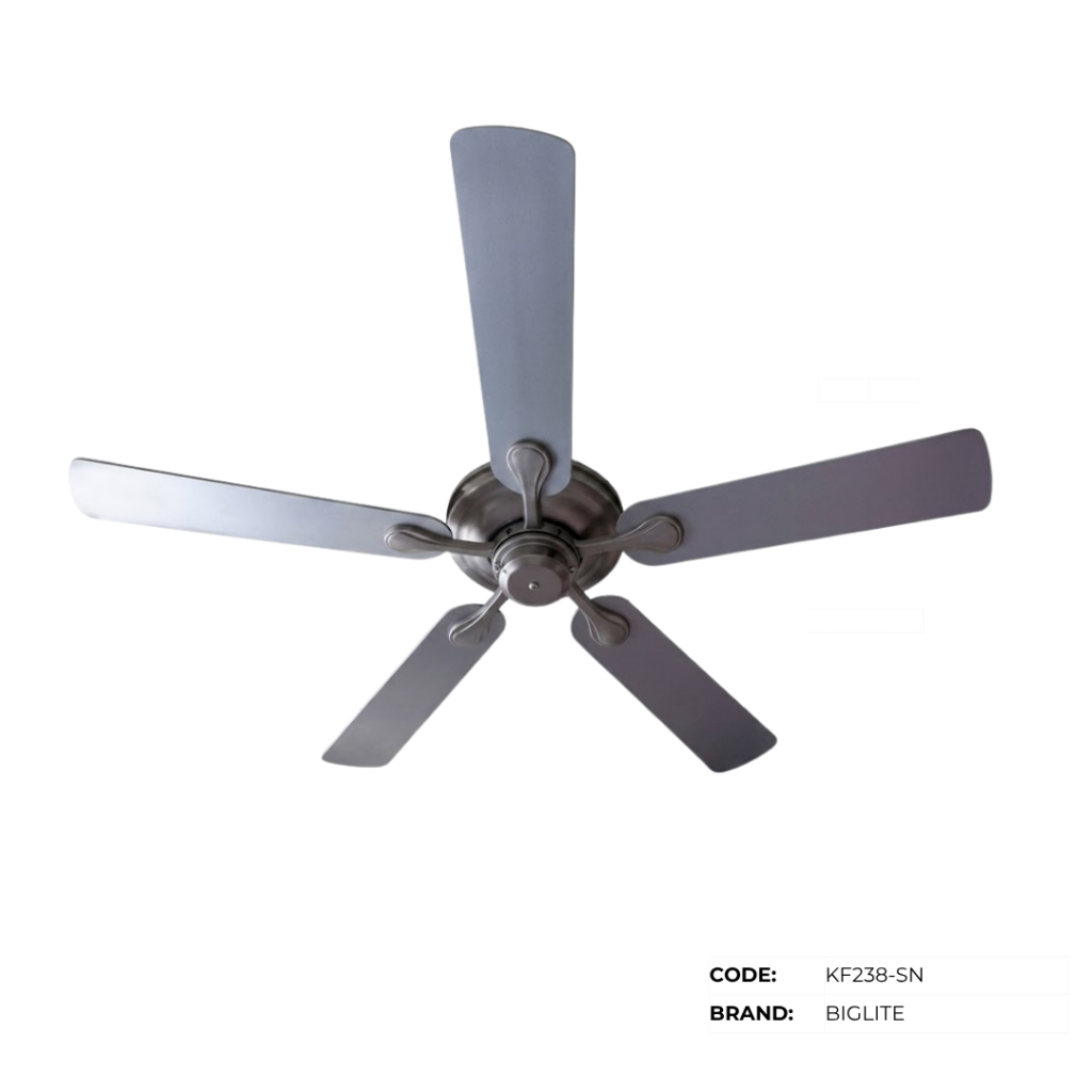 BIGLITE Ceiling Fans with Lights