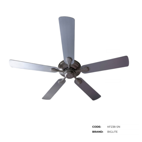 BIGLITE Ceiling Fans with Lights