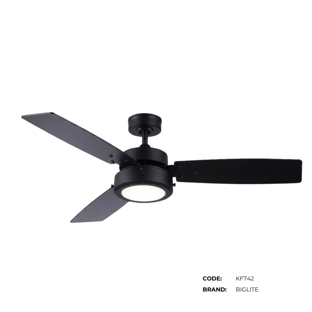 BIGLITE Ceiling Fans with Lights