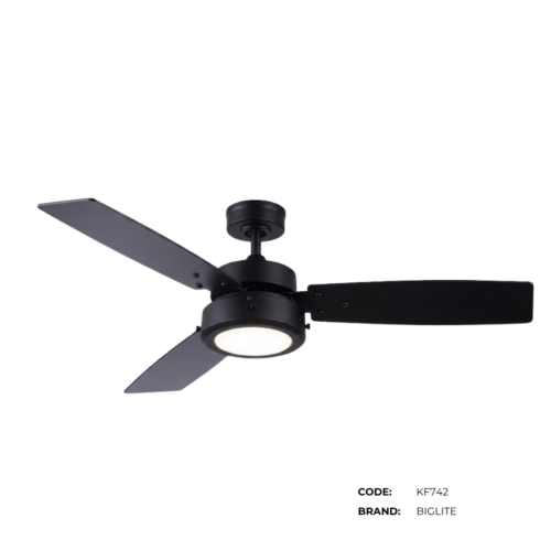 BIGLITE Ceiling Fans with Lights