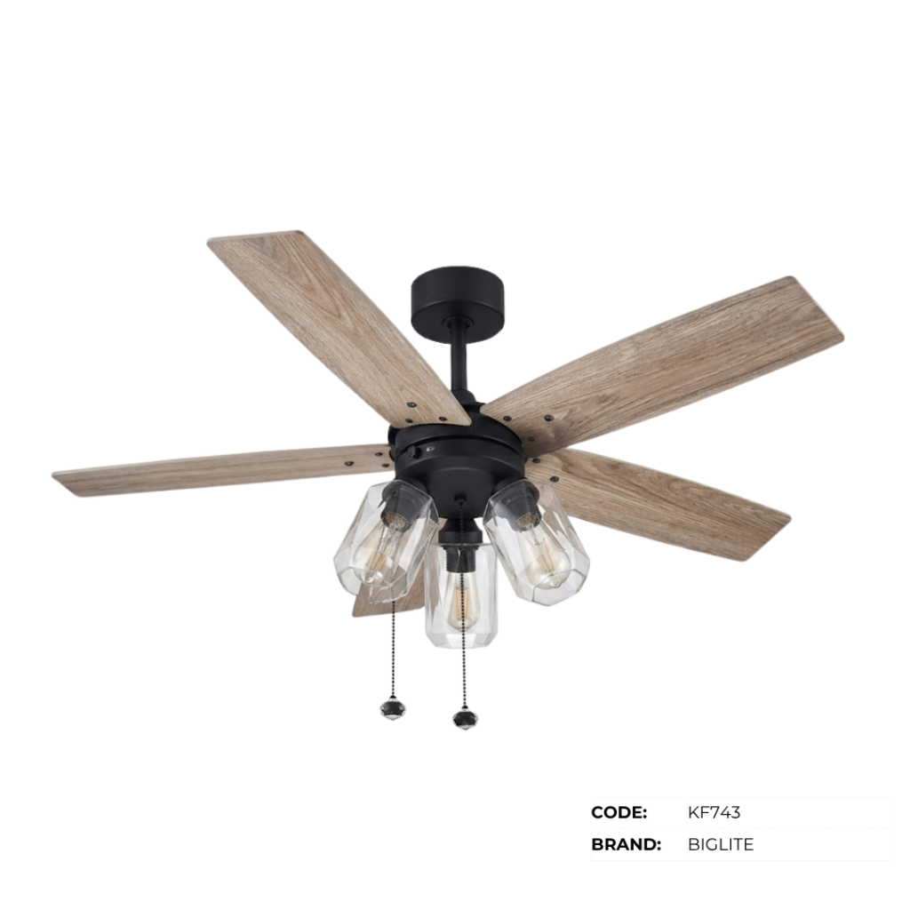 BIGLITE Ceiling Fans with Lights