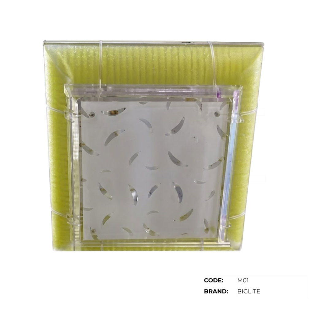 BIGLITE Low Ceiling Lights