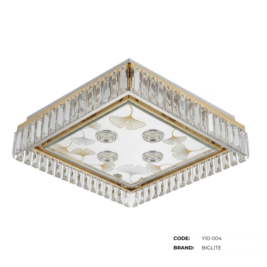 BIGLITE Low Ceiling Lights